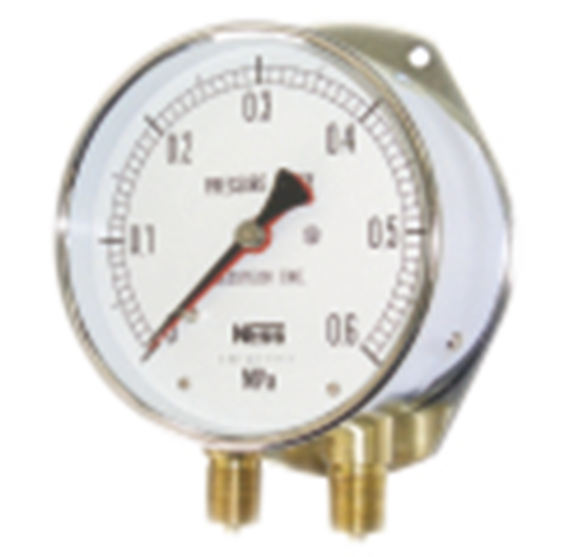 Duplex Pressure Gauge